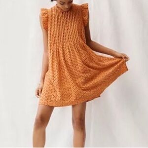 NWT Madewell Eyelet Ruffle-Sleeve Pintuck Mini Dress, size S Mulled Cider
